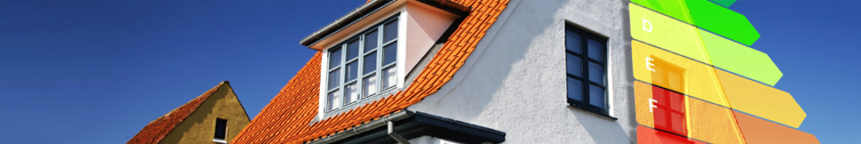 Banner - Franz Hiegemann